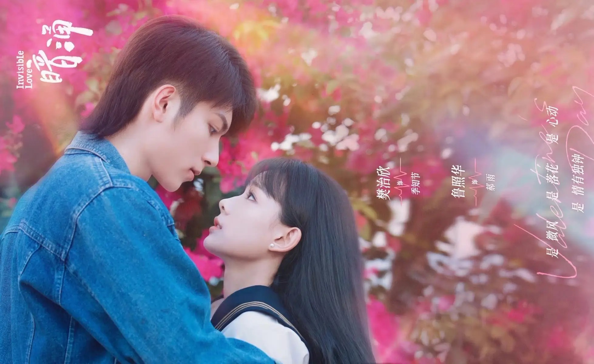 哈啰被315点名：5000家门店集体违规，真的只是道德问题吗？